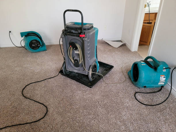 Best Basement water damage restoration  in Wyoming, DE