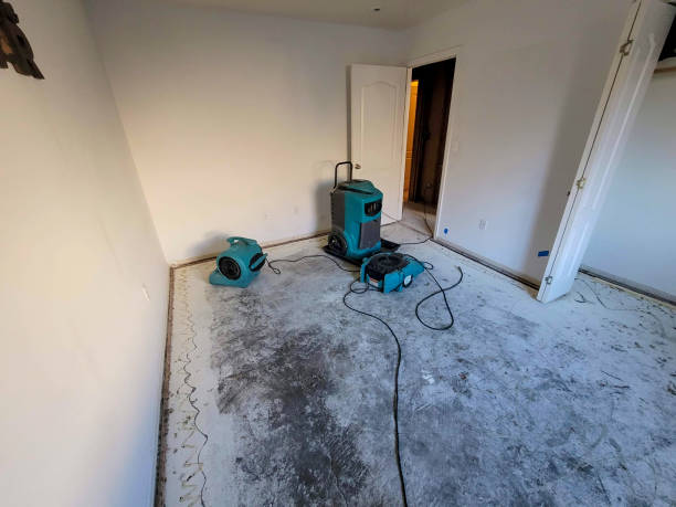 Best Flood restoration services  in Wyoming, DE