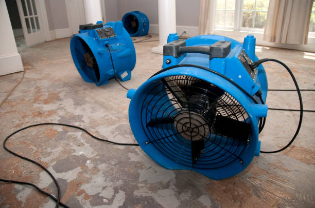 Best 24-hour water damage restoration  in Wyoming, DE
